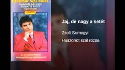 SOMOGYI  ZSOLT  1967  -  . .
