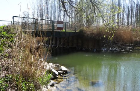 Tejfalui Csökös híd 2016. március 31.-én