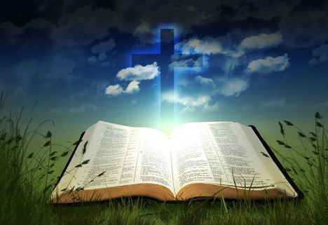 Turmezei Erzsébet: A VÉGIGCSÓKOLT BIBLIA