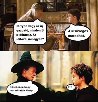 Harry az új diri!