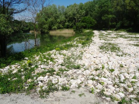 Kertész gát a Mosoni-Duna legfelső szakaszán, Rajka 2016. április 22.-én 1