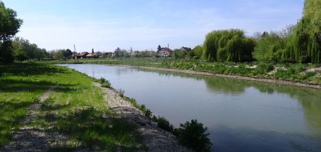 Mosoni-Duna, Máriakálnok Malom-dülő I. vizes élőhely 2016. április 24.-én 1