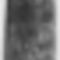 Pünkösdi leányevező lapátjának faragott díszítése. A virágbokor alján két hal (Szeremle, Bács-Kiskun m., 1870-es évek) Bp., Néprajzi Múzeum