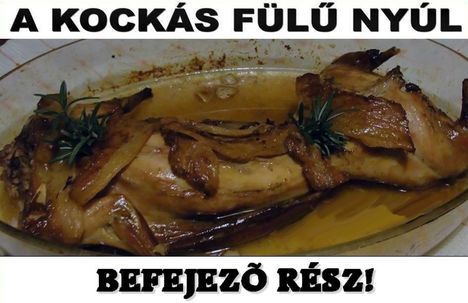 A kockás fülű nyúl!