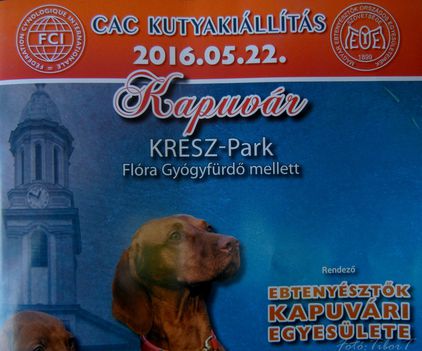 Rottweiler CAC Kapuvár 2016