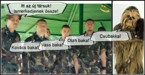Csubakka!
