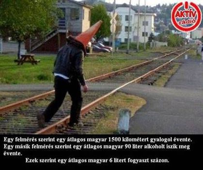 Felmérés!