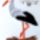 Golyam__1988280_2614_t