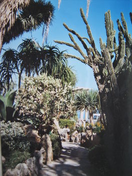 Jardin Egzotic, Monaco