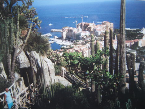 Látkép a Jardin Egzotic-ból nézve, Monaco