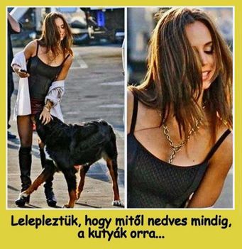 Mitől nedves!