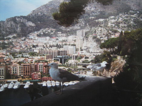 Monaco, Kikötő