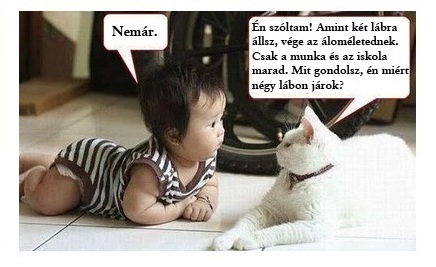 Ne már!