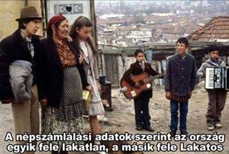 Népszámlálás!