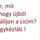 Mit_csinaljak_1989836_7771_t