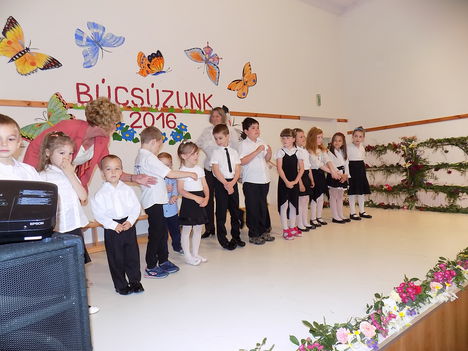 Oviballagás (40)