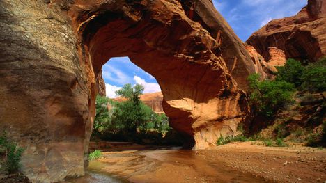 Coyote Natural Bridge Glen Canyon Utah-1058