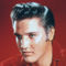 Elvis Presley (13)