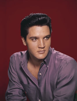 Elvis Presley (14)