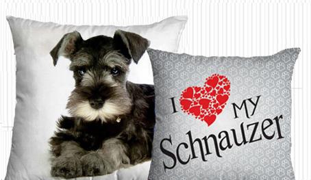 I love my schnauzer! 