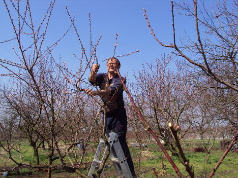 kertünkből 2011