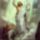 Marcius_31_csutortok_husvet_nyolcadaban_1980027_2840_t