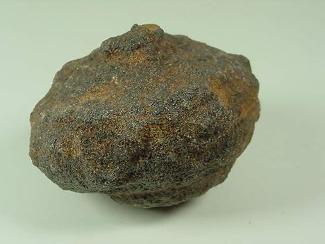 Moqui élő kő 12