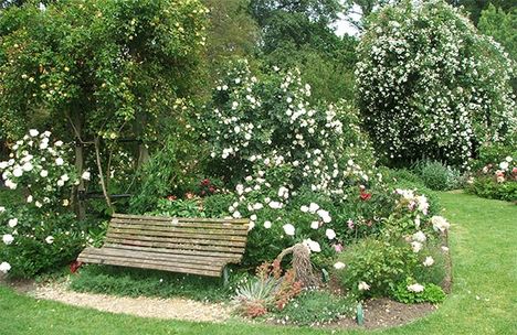 roses-garden-seat