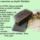 Aldas_bekesseg-047_1991446_7862_t