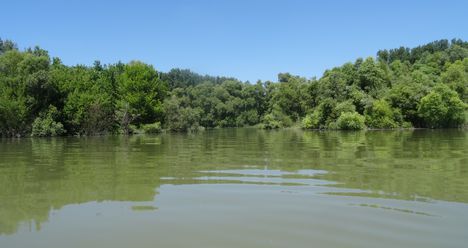 Alsó-Bős Bagaméri mellékág a Bagaméri mellékágrendszerben, Ásványráró 2016. június 07.-én