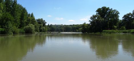Aprókövesi zárás a Bagaméri Duna-ágon 2016. június 07.-én