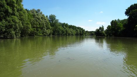 Bagaméri Duna-ág a Bagaméri mellékágrendszer főága, Ásványráró 2016. június 07.-én