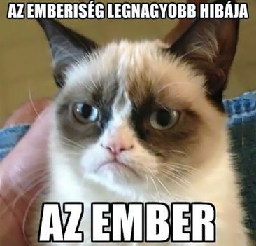 Morci megmondta!