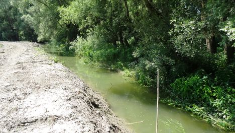 Öreg-Dani szigeti Duna-ág a Bagaméri mellékágrendszerben, Ásványráró 2016. június 03.-án 5