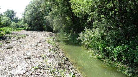 Öreg-Dani szigeti Duna-ág a Bagaméri mellékágrendszerben, Ásványráró 2016. június 03.-án 6