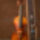 Pethes__pal_1991159_4605_t