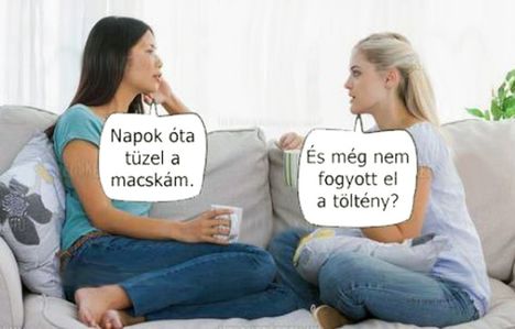 Tüzel a macskám!