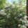 Viragok_7-028_1991960_5306_t