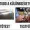 Különbség!