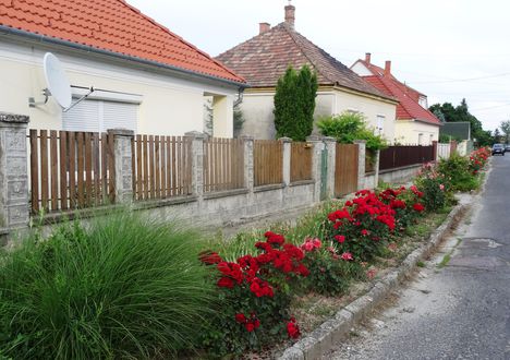 Rózsákkal díszített a Hédervár, Kossuth Lajos utca, 2016. június 13.-án 1