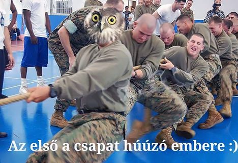 Húzóember!