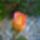 Wp_20160527_05_57_44_pro_1993536_5475_t
