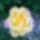 Wp_20160528_08_56_24_pro_1993522_8822_t