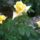 Wp_20160528_08_57_43_pro_1993523_7291_t