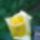 Wp_20160528_08_59_00_pro_1993533_4427_t