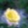 Wp_20160528_08_59_35_pro_1993535_4017_t