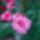 Wp_20160602_14_07_35_pro_1993547_8436_t