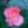 Wp_20160602_14_08_36_pro_1993530_5813_t