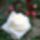 Wp_20160602_14_09_37_pro_1993541_6739_t