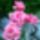 Wp_20160602_14_10_57_pro_1993518_7154_t